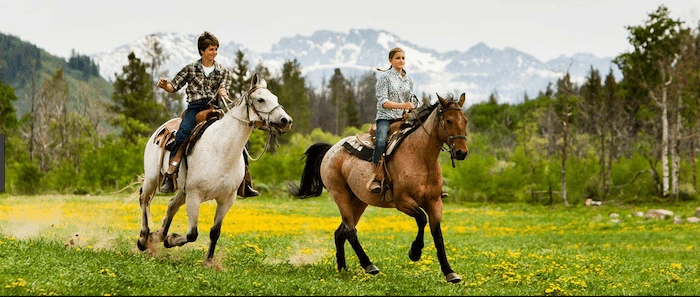 Confident plus-size woman riding Market Drayton a horse through a field with a smile on her face.